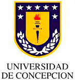 logo_udec